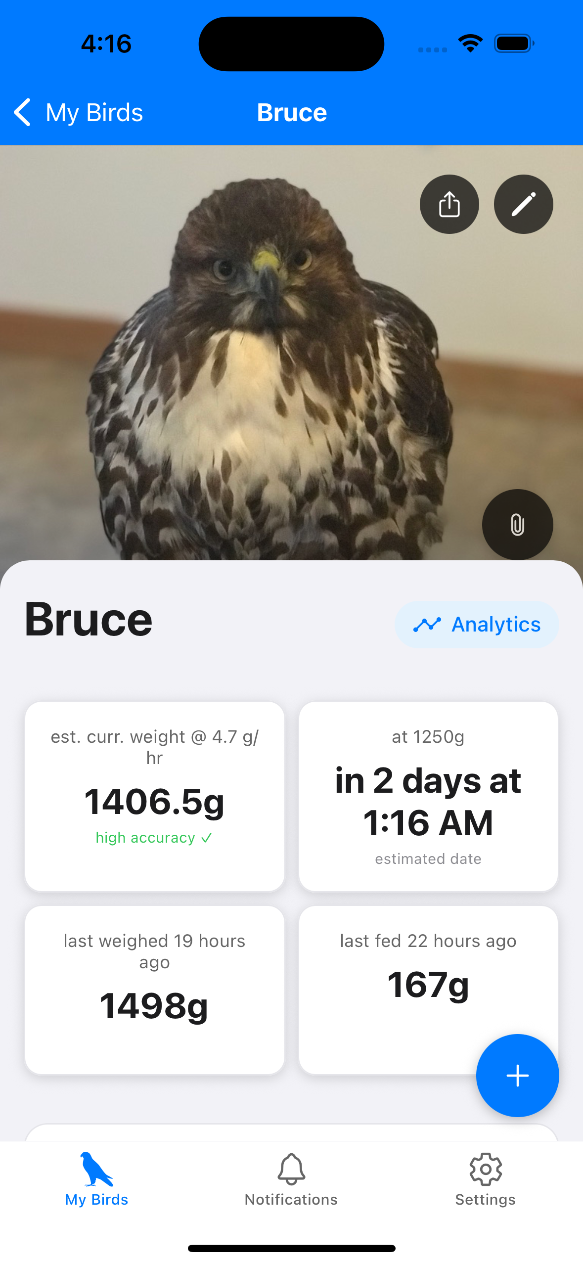 Weight Tracking - Track daily weights with trend analysis and flying weight predictions